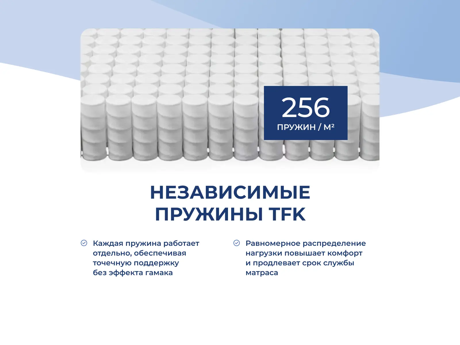 ������ DreamExpert Base Holl Hard TFK ��������