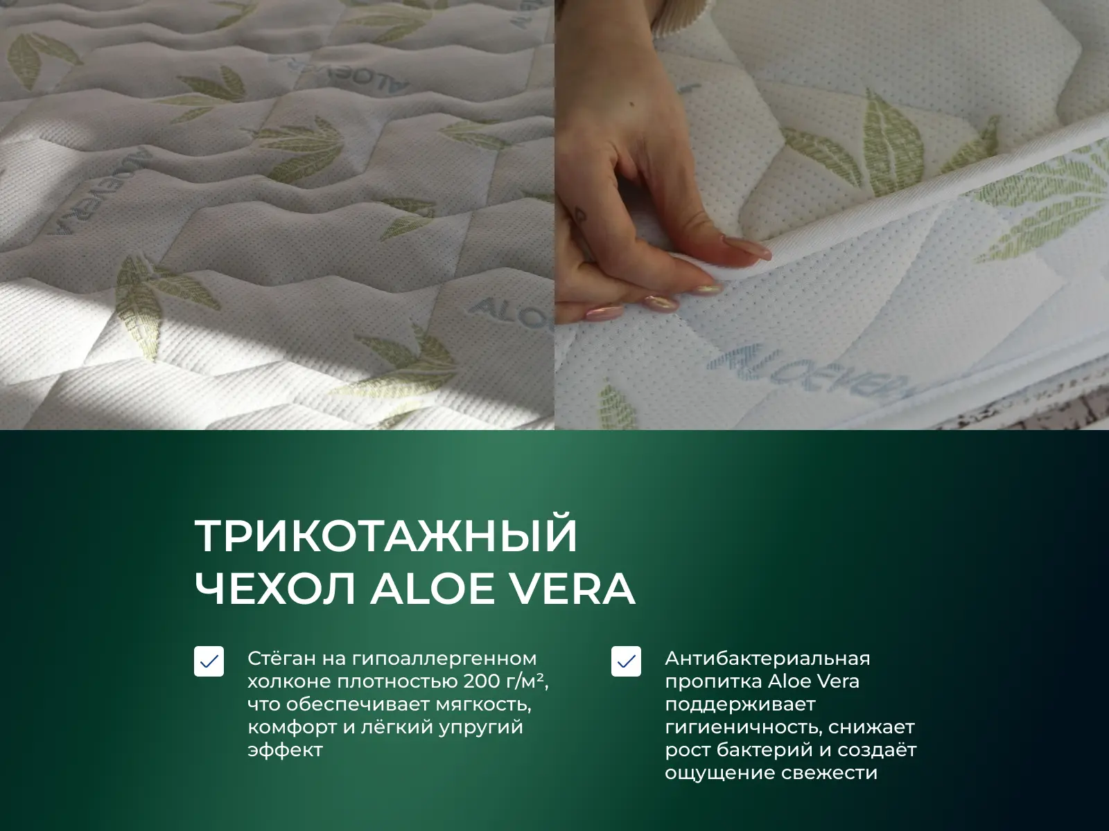 ������ EveRest ���� ������ 10 S1000 � [65 x 200 ��] � ������������ ��� ������ ������������: 130 ��.