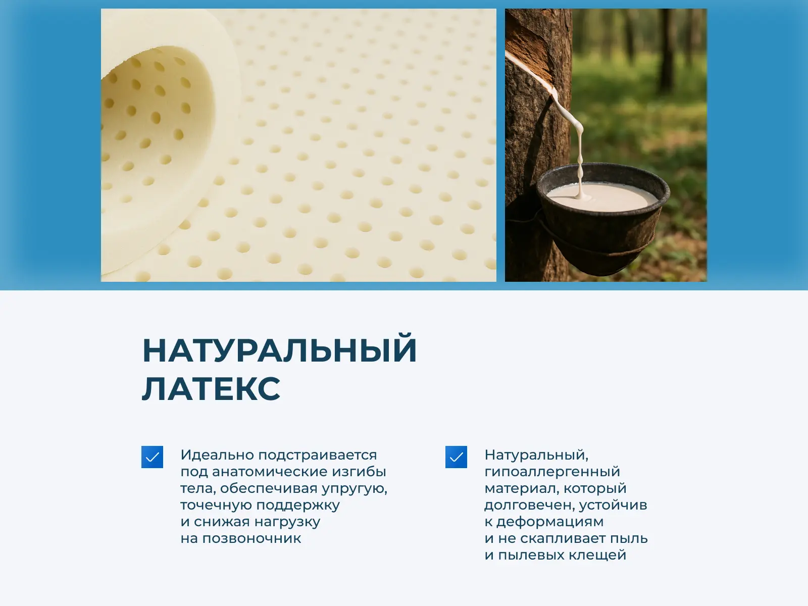 ������ Comfort Line Hard-HardStyle S1000 � [65 x 200 ��] � ����������� ��������� �����