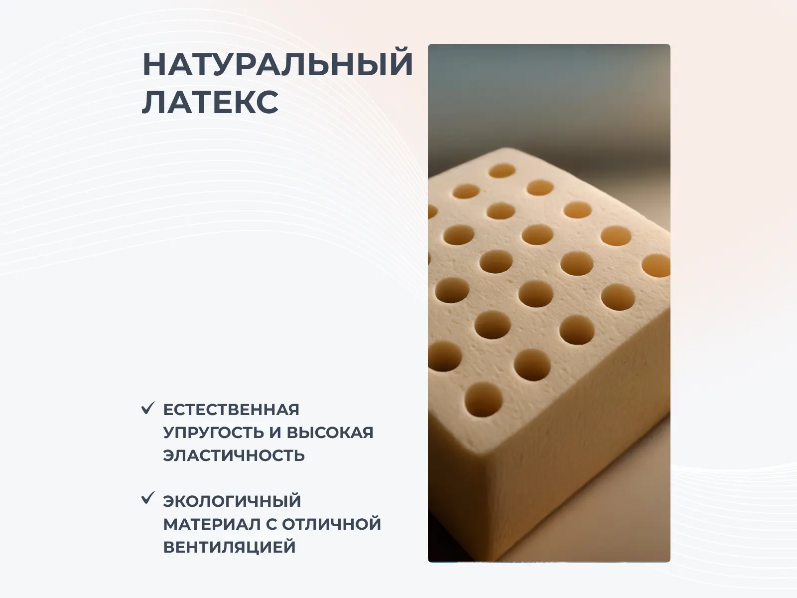 ������ Dimax ��� ������ ���� � ���� 56440 �. � � ������