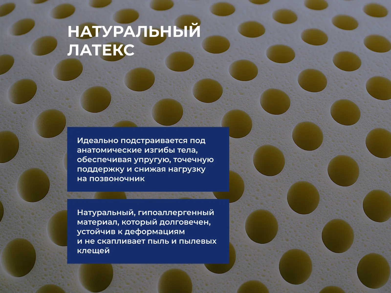 ������ Vitaflex Standart Easy Eco � �������� � ���� ������! � ������ �������: 16 ��.