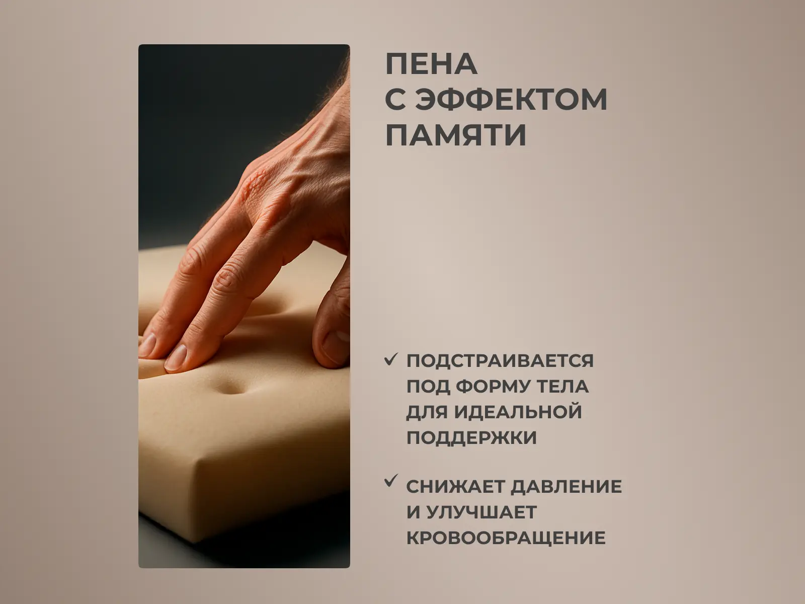 ������ Dimax ����� ���� ���� � [65 x 200 ��] � ������ � �������� ������