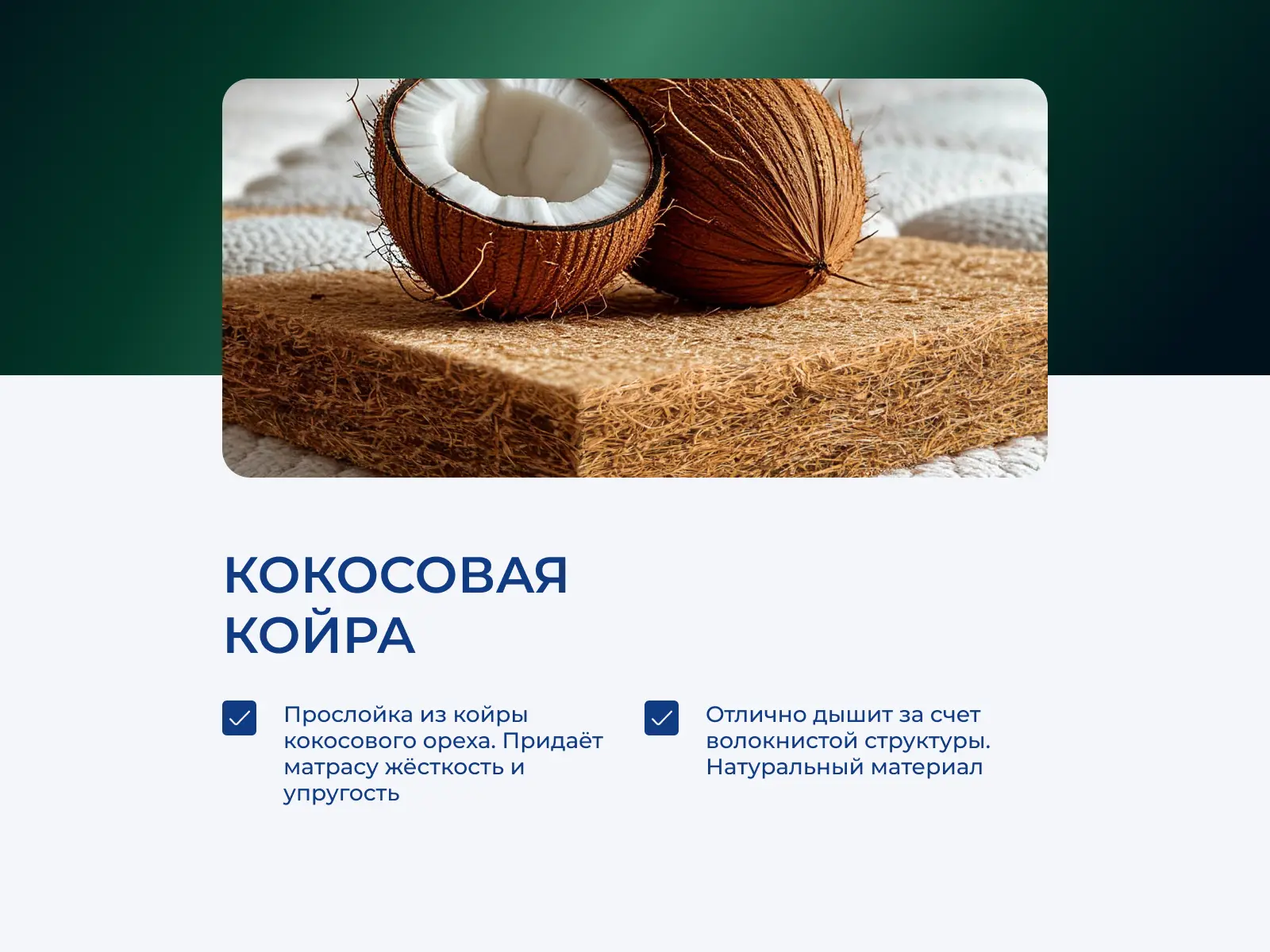 ������ EveRest ���� ���� ��� � [65 x 200 ��] � ������-������� ������