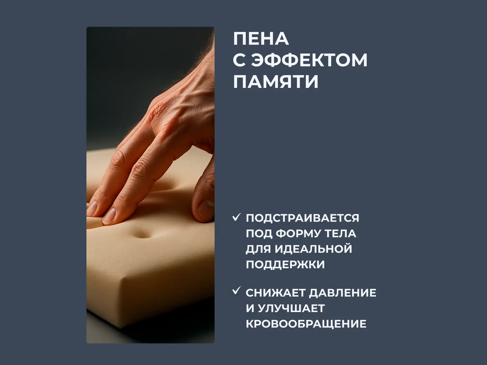 ������ Dimax �� ���� ���� � ������ � �������� ������ � ������� �� ������