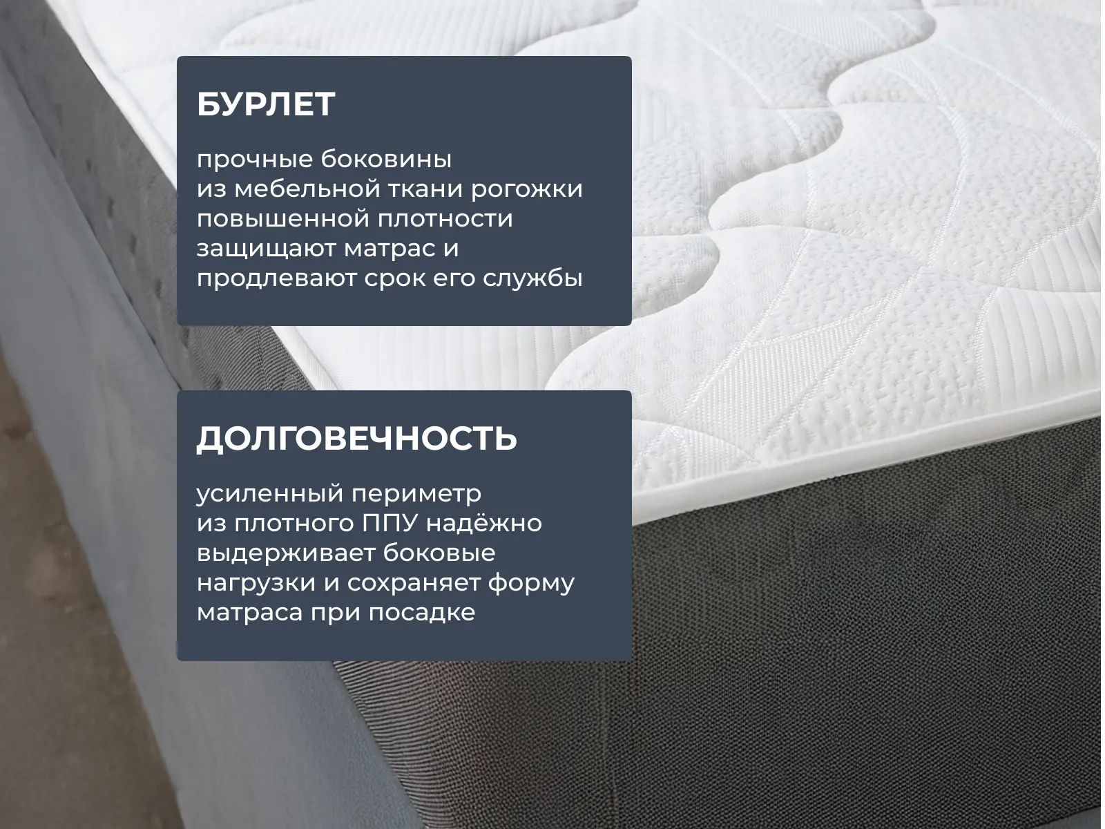 ������ Dimax ��� ���� ���� � ���� 41140 �. � ������-������� ������