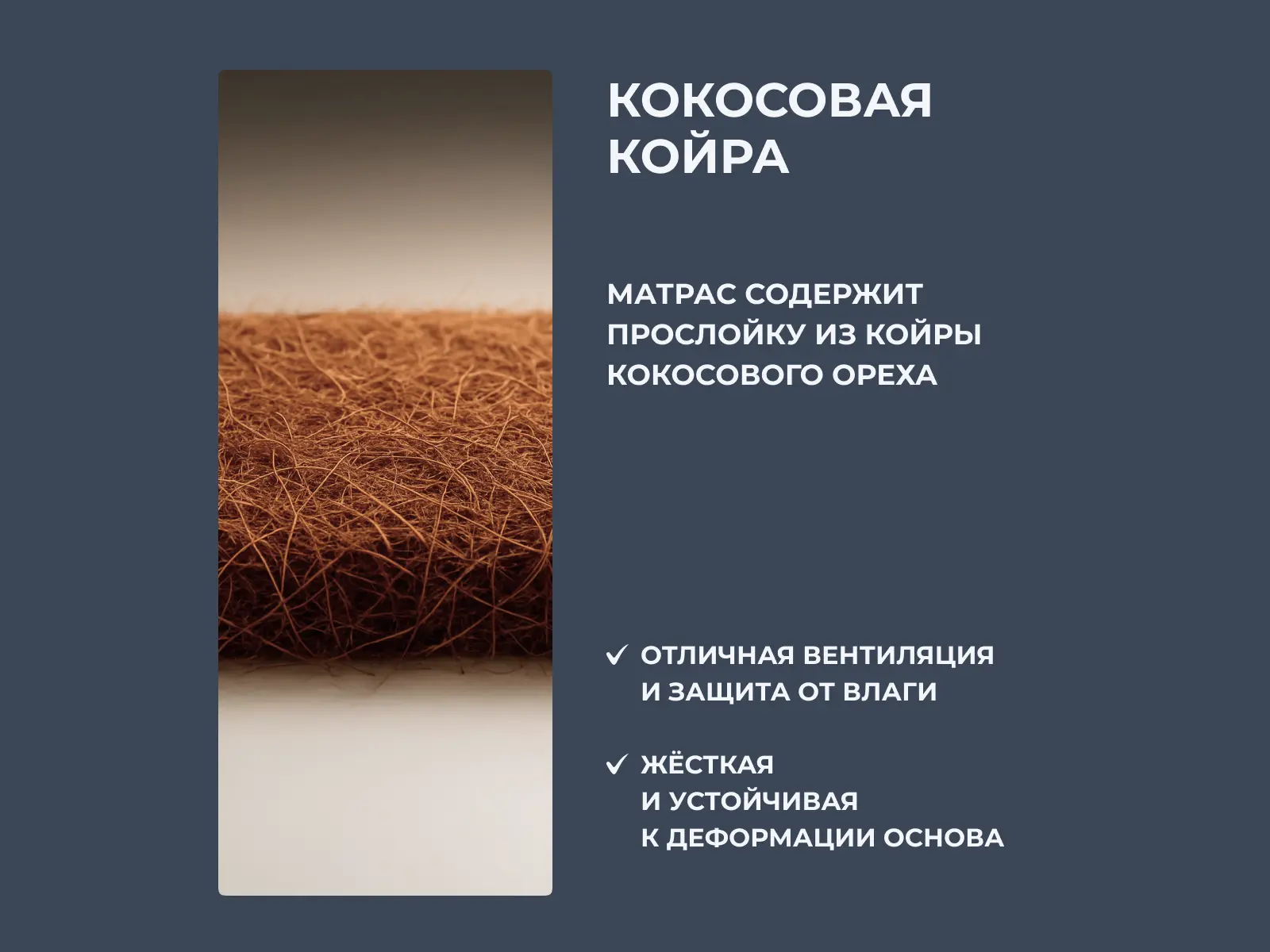 ������ Dimax ��� ���� ���� � ���� 41140 �. � �������� �� 24 ����