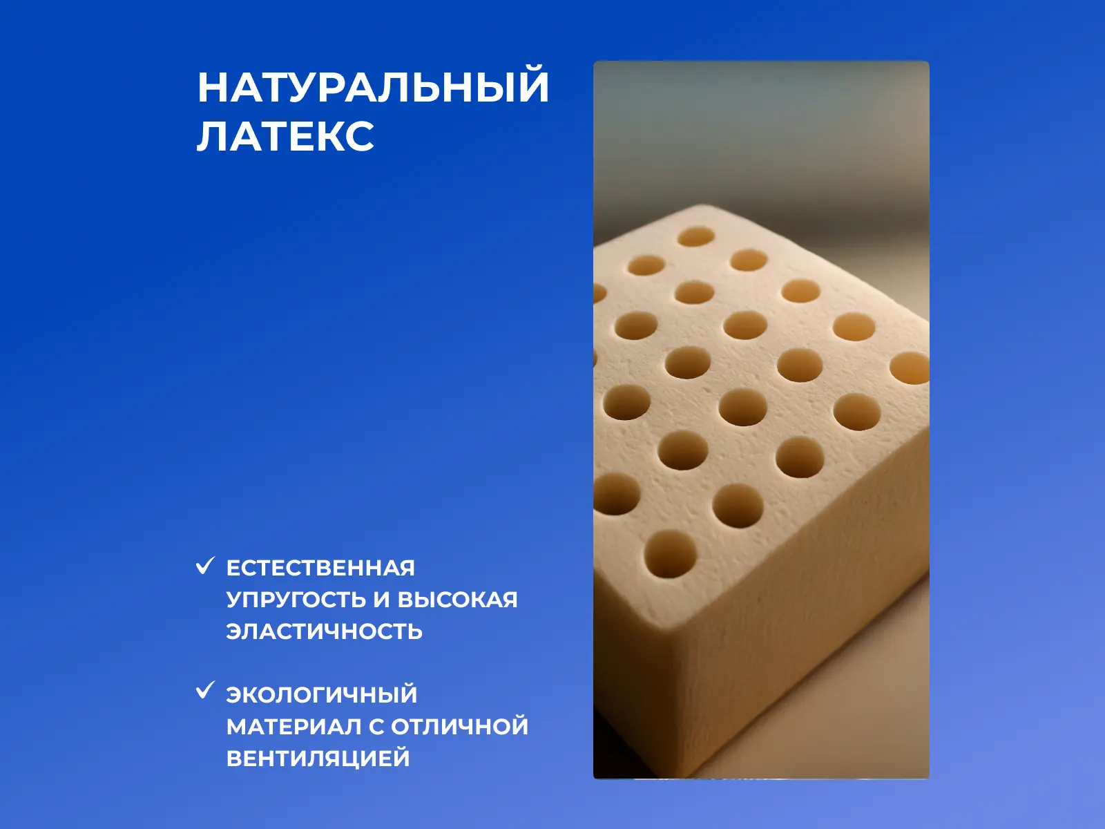 ������ Dimax ����� ���� ���� ���� � ���� 31490 �. � ��������-������ ������