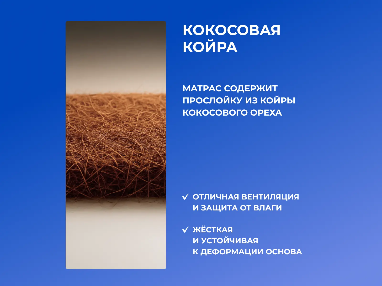 ������ Dimax ������ ���� PK4 ��������