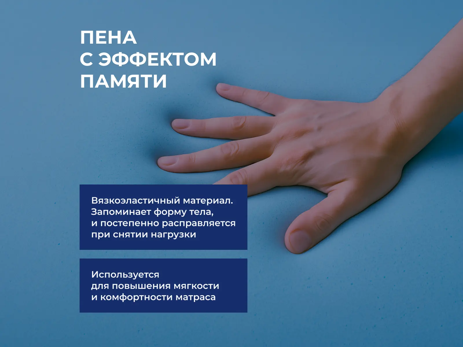 ������ Vitaflex Visco 2 � ������� �� ������ � ������ �������: 3 ��.