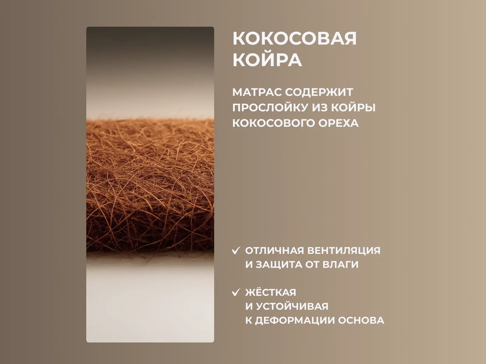 ������ Dimax ���� ������ ���� � ��������� �������, ������������ ���: 170 ��. � 21 ������