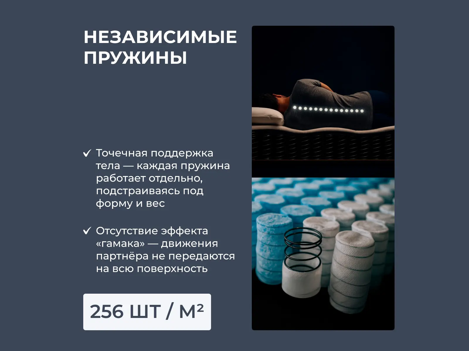 ������ Dimax ��� ���� ���� � � ������ � ������ �������: 31 ��.