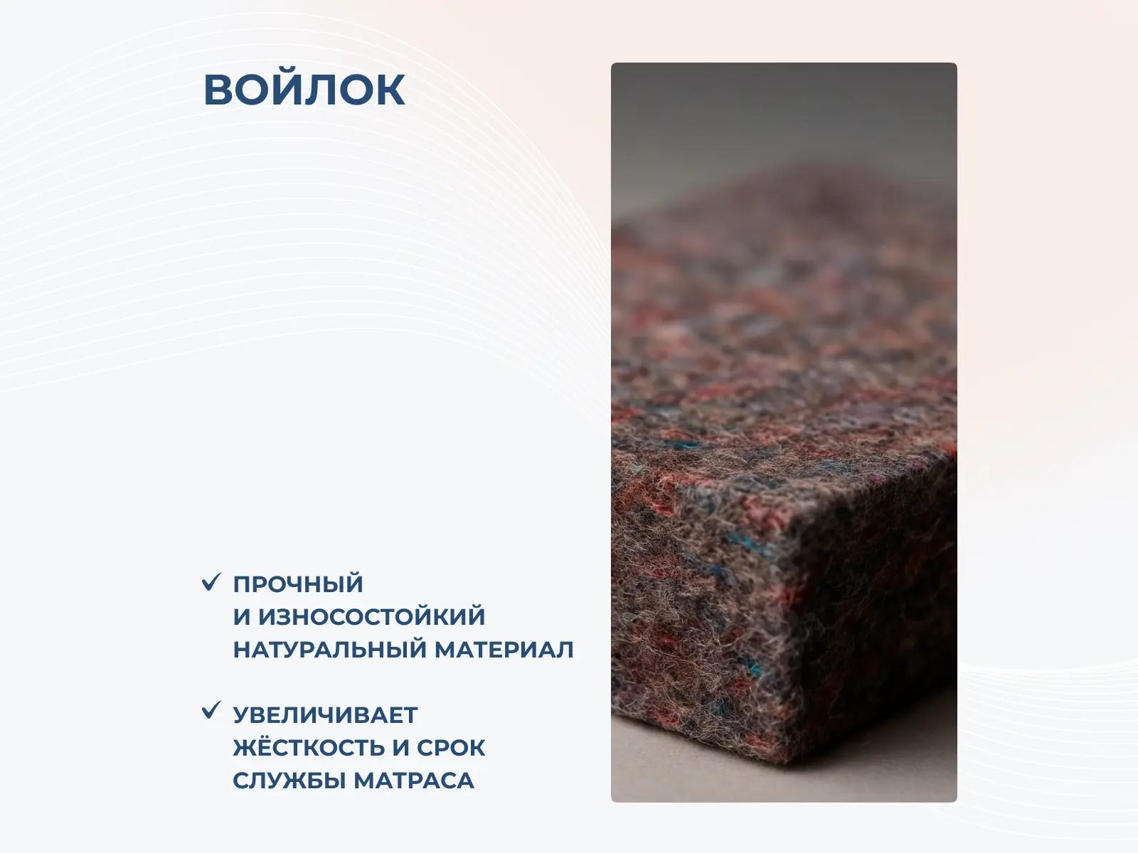 ������ Dimax Relmas Cocos 3 S1000 � ������ �������: 20 ��. � 32 �������