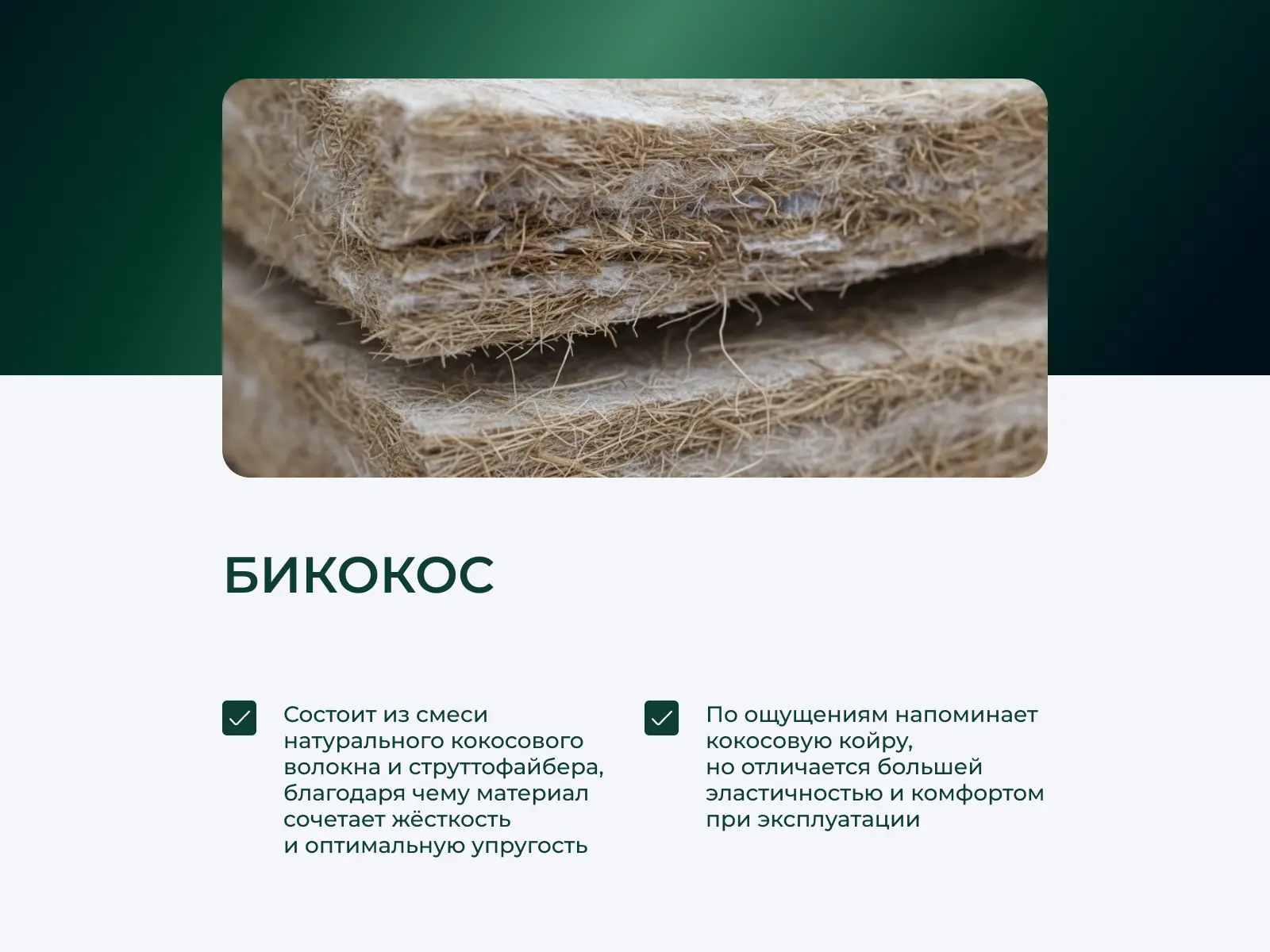 ������ EveRest ������ ������� TFK � ������ �������: 24 ��.