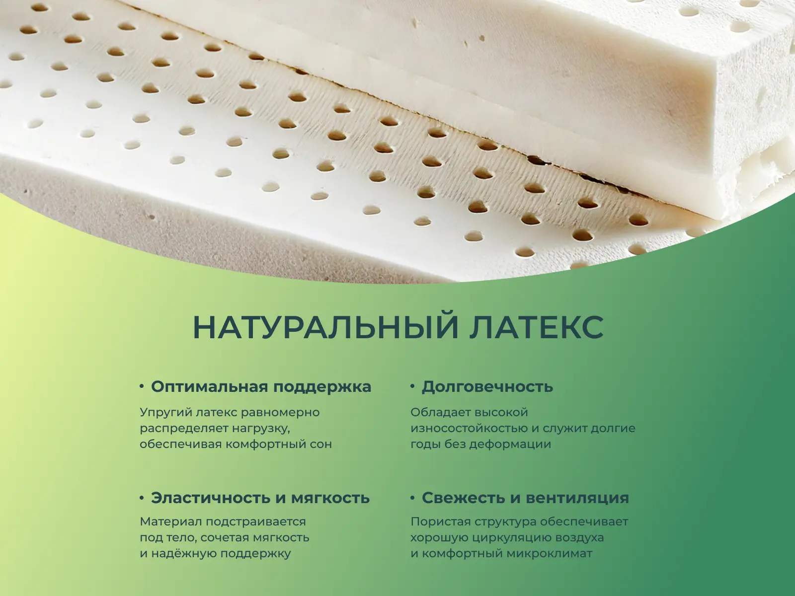 ������ Sleeptek Duplex Latex Cocos Revers � ����������� ������ � ��������� �������, ������������ ���: 160 ��.