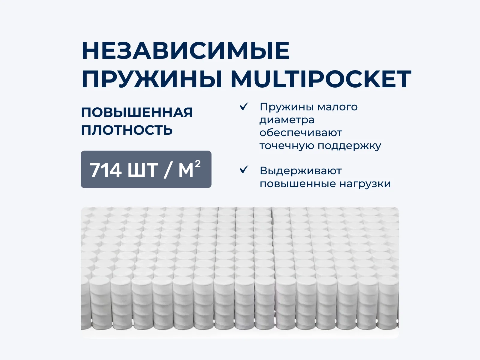 ������ Brinkhaus Palermo TTFK � �������� 5 ���