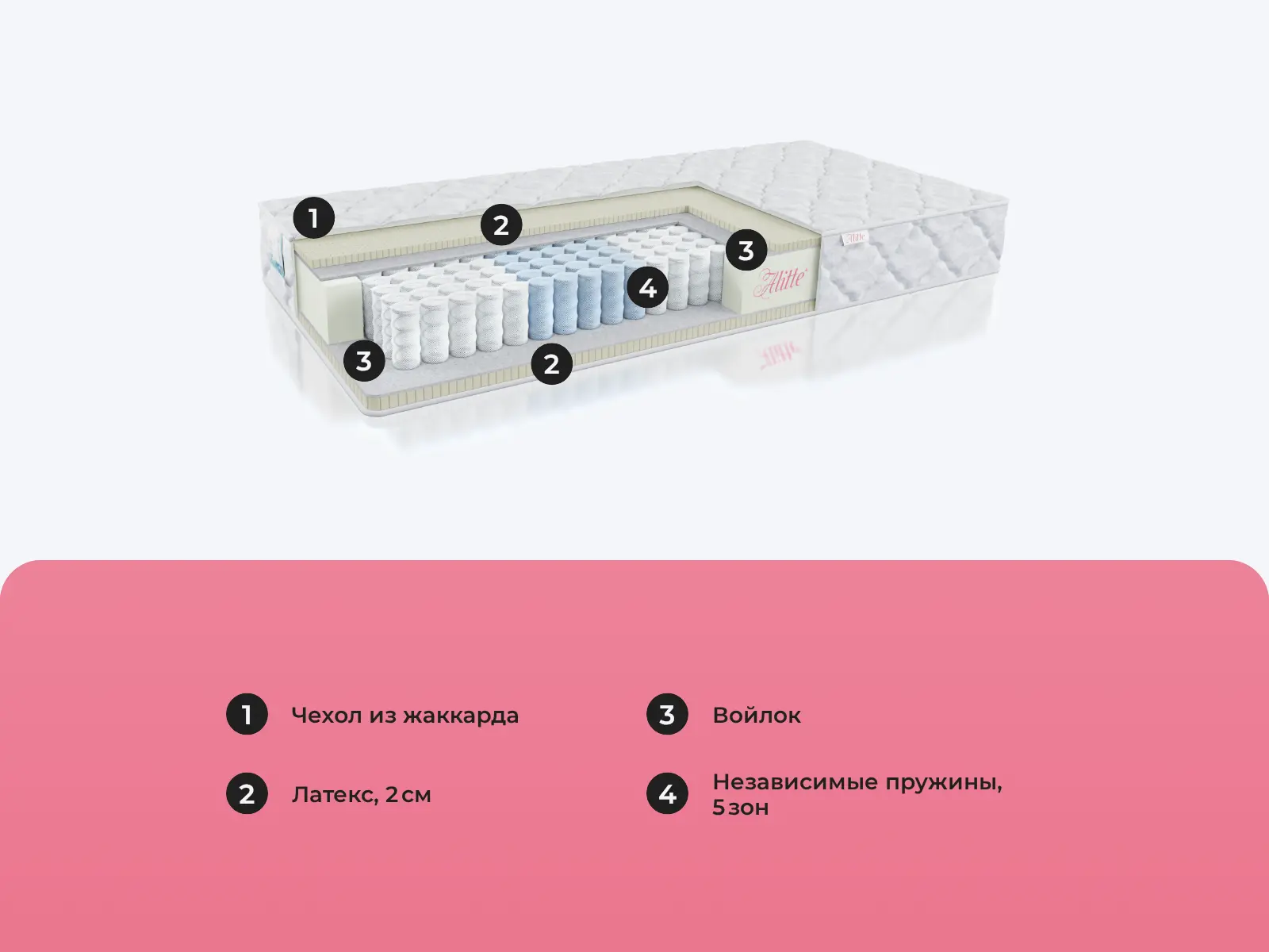 Alitte Leslie TFK S-18-N � ������