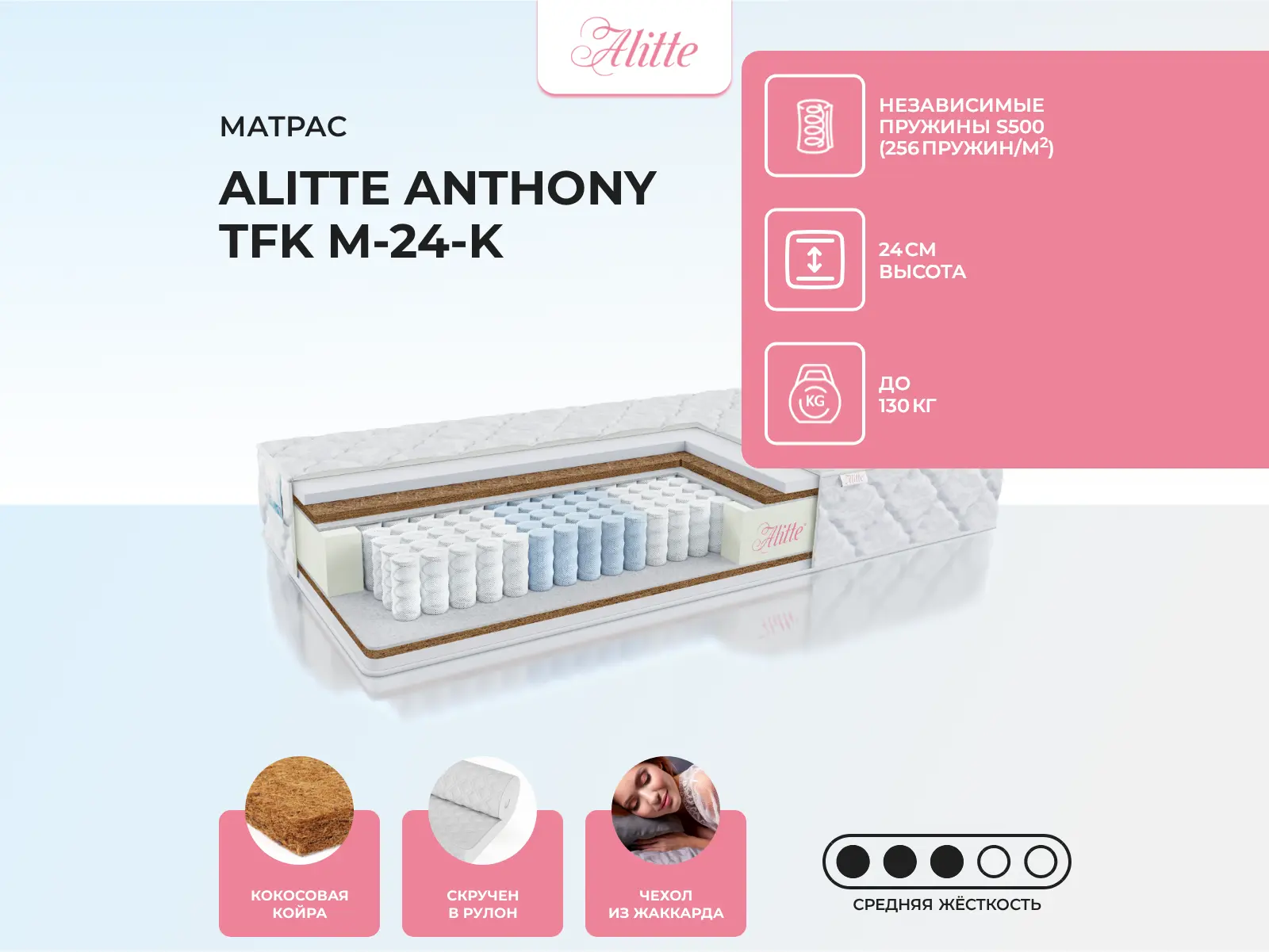 Alitte Anthony TFK M-24-K