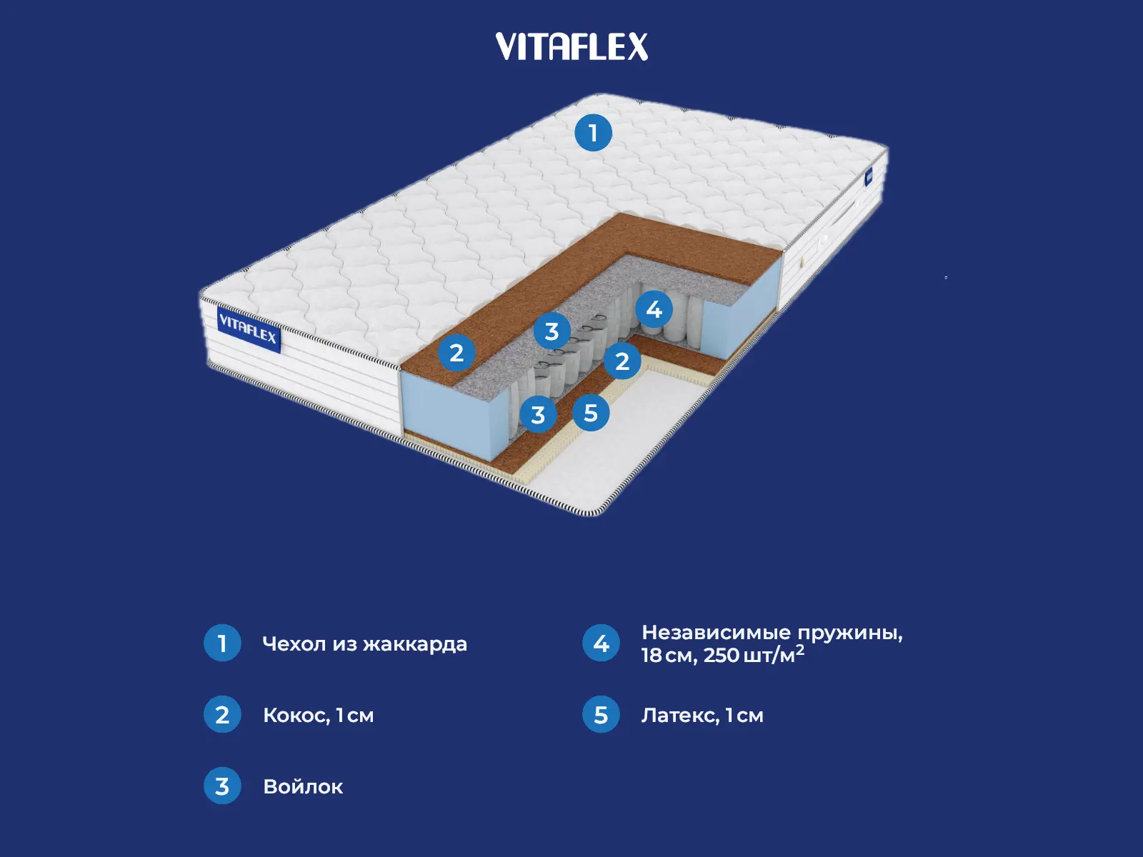 Vitaflex Hard-Middle � ������