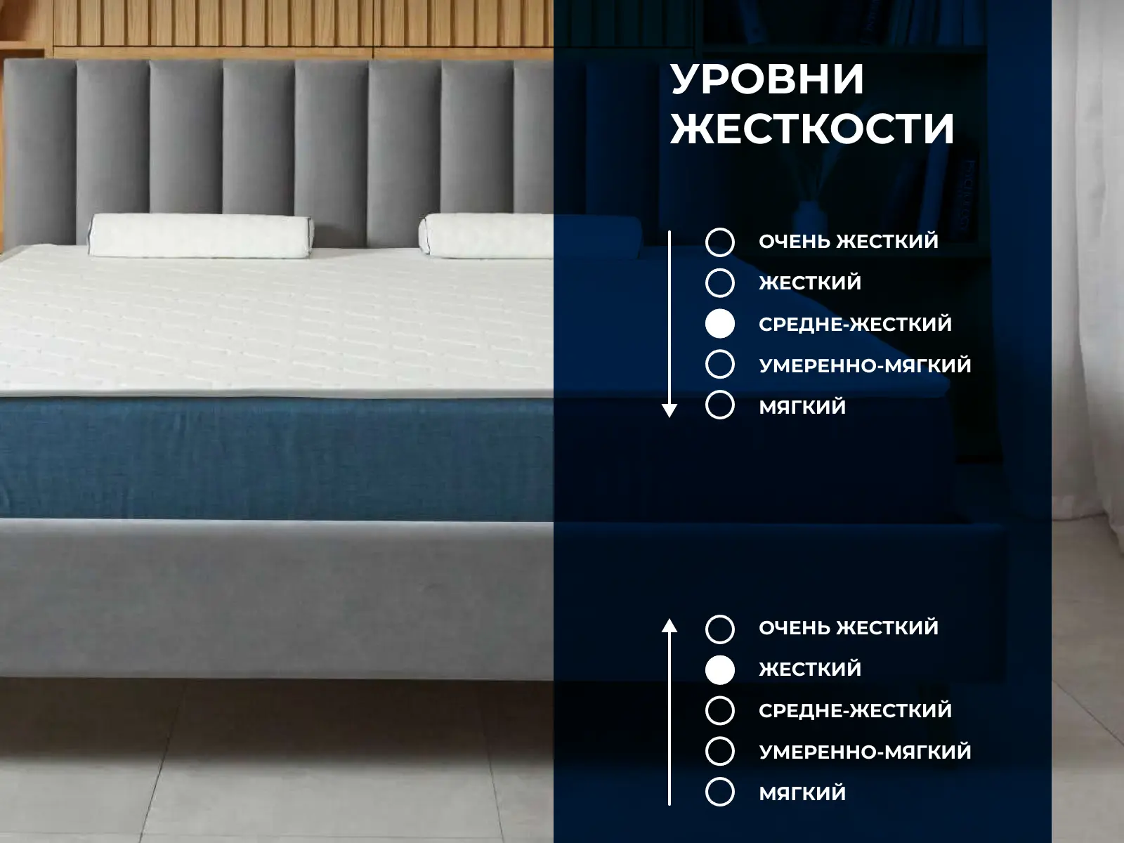 ������ Dimax ������� 20 ���� ��������