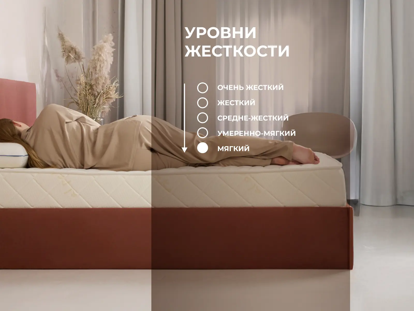 ������� Micro Memo Soft