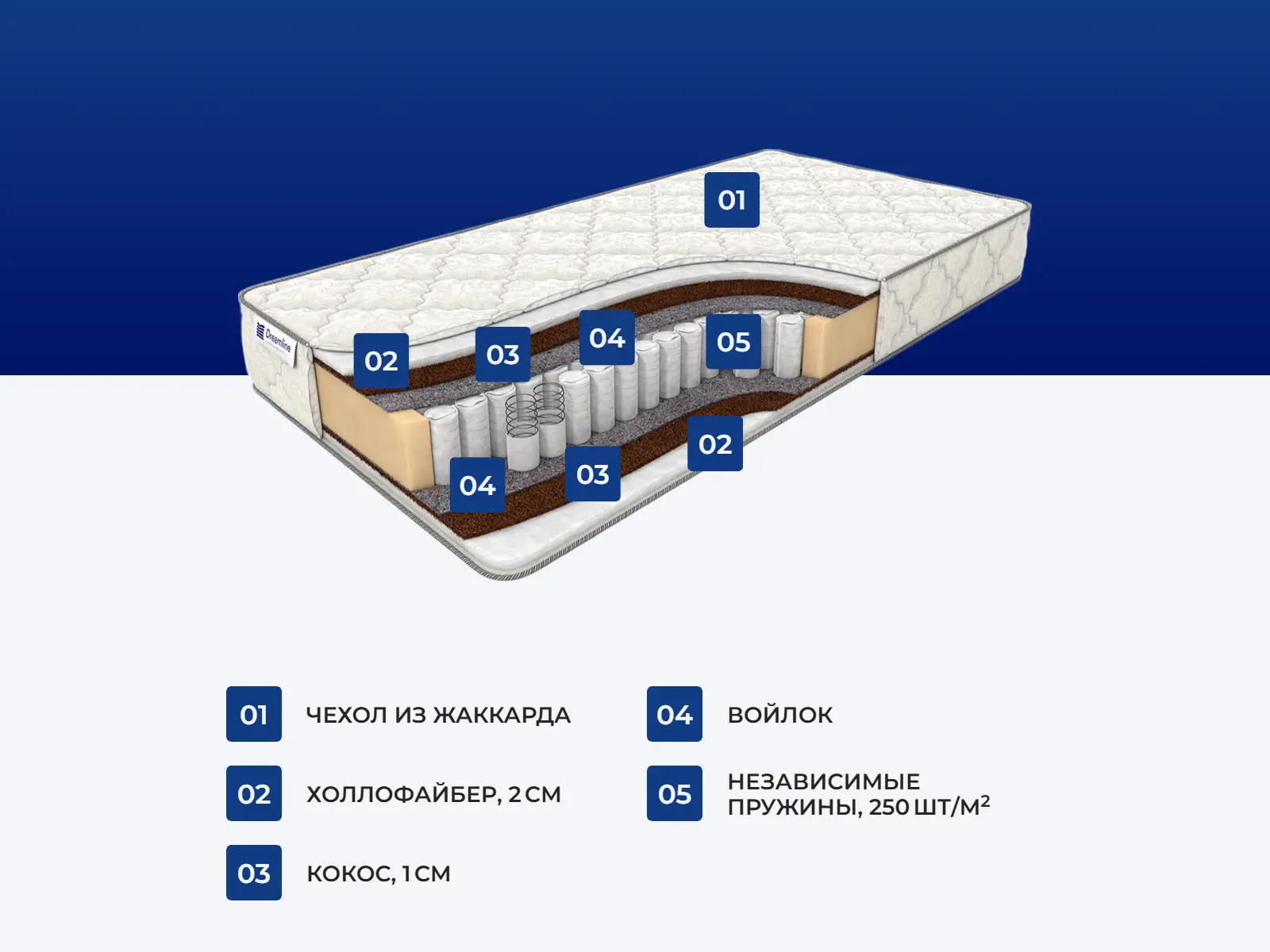 ������� ������ ���� ���� ���