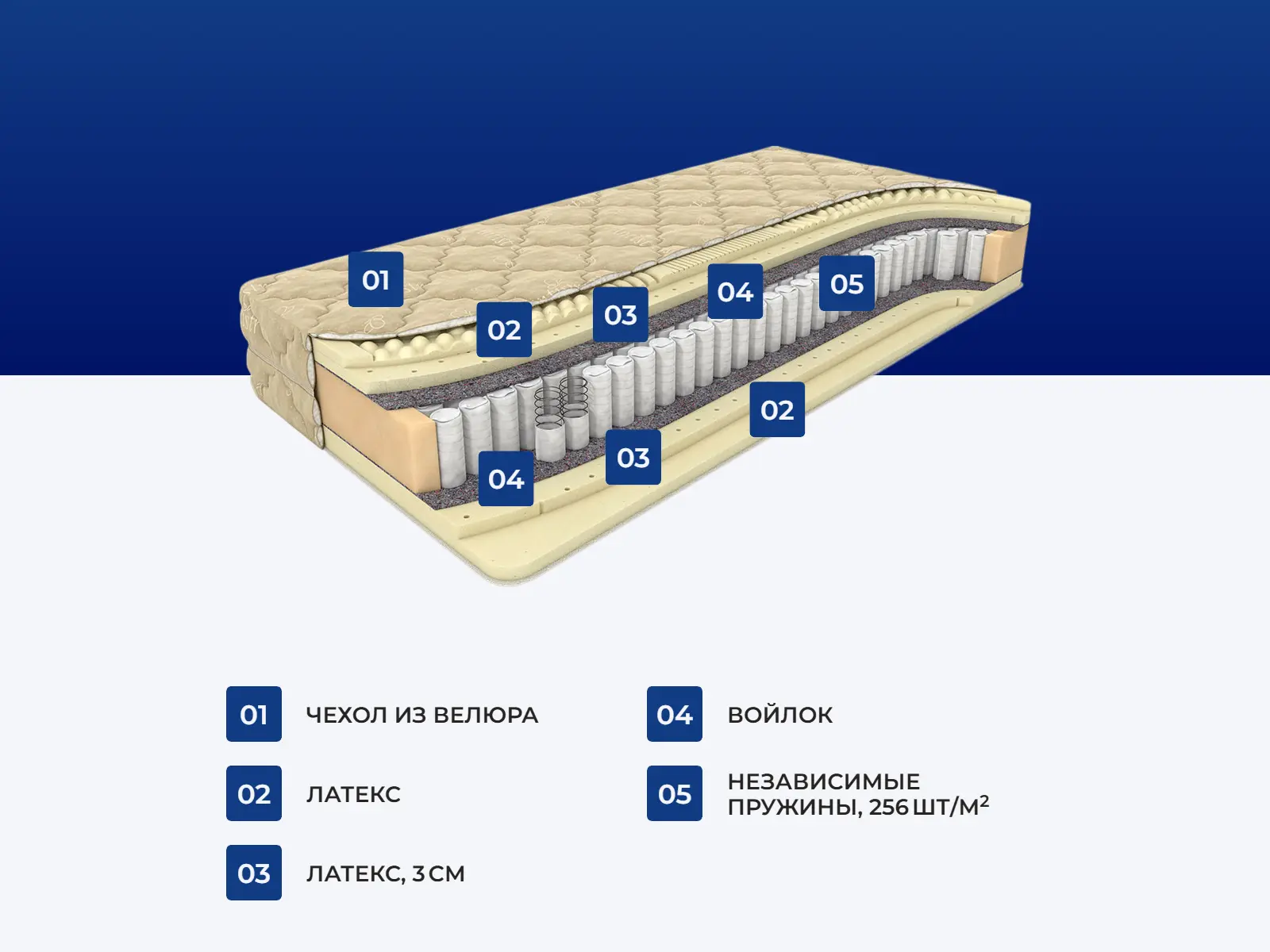 ������� ������ ������ ���