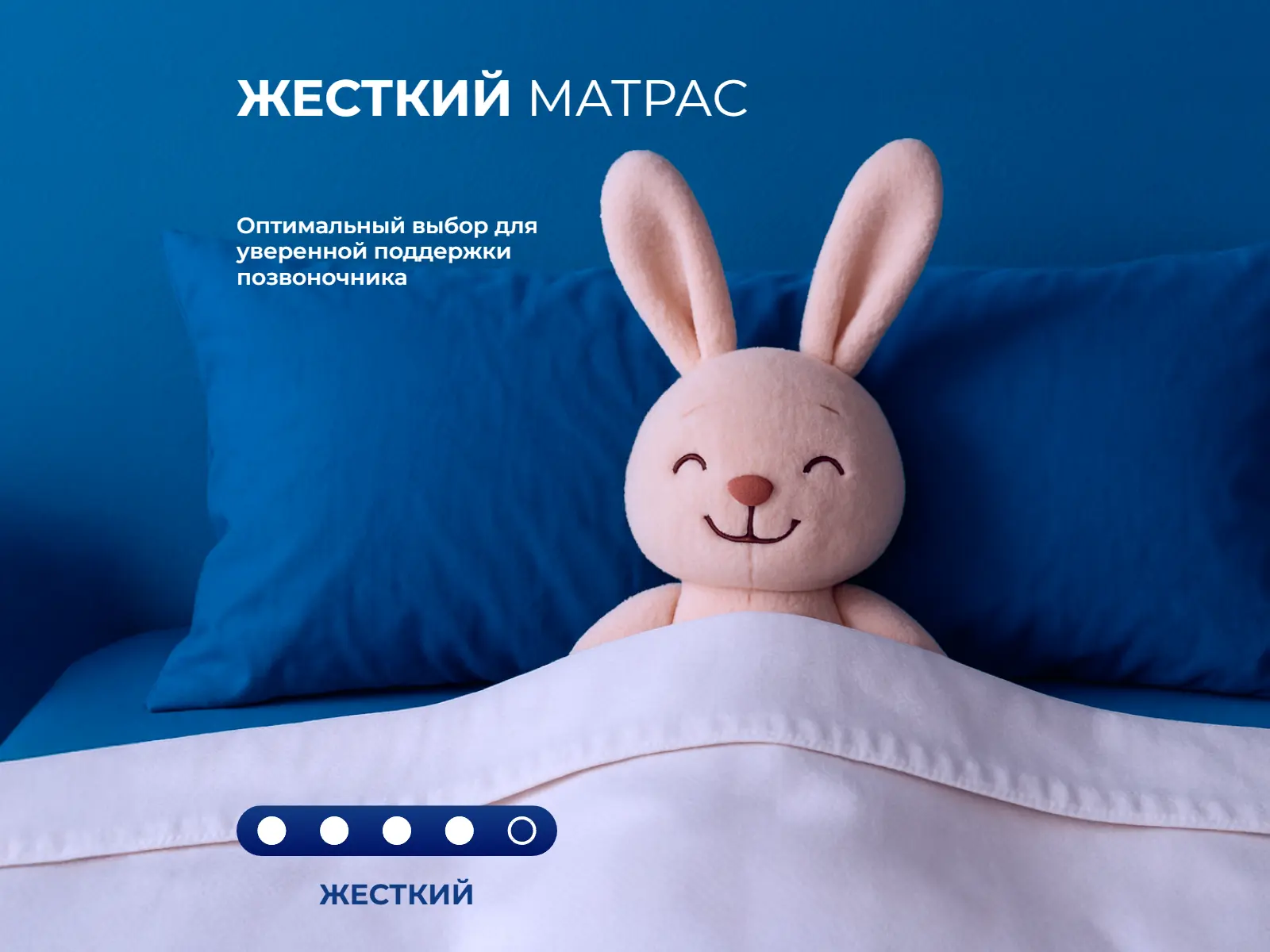 ������� �������� ����