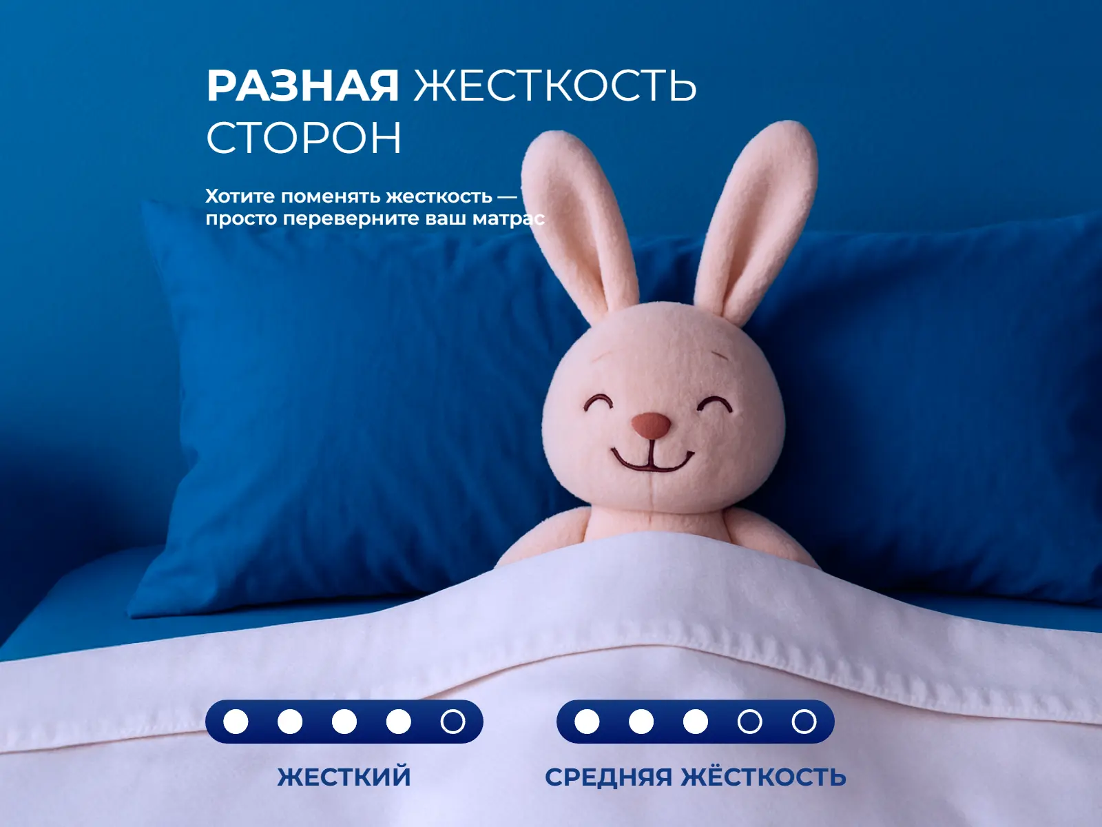 ������� ���� ���� ���� ���