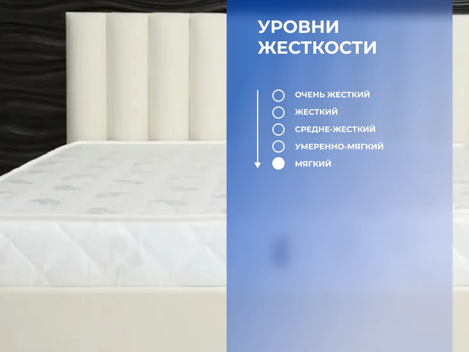 ������ Dimax ������ ����� � � ������ � �������� 1,5 ����