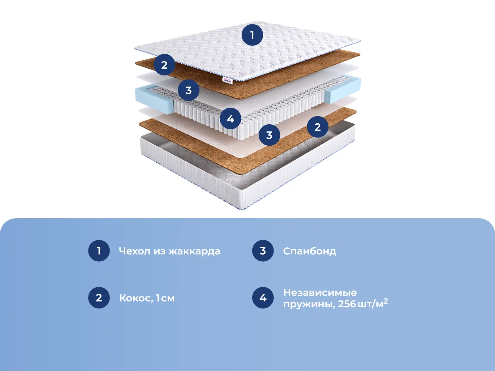 DreamExpert Base Hard 1 TFK � ������ ���������