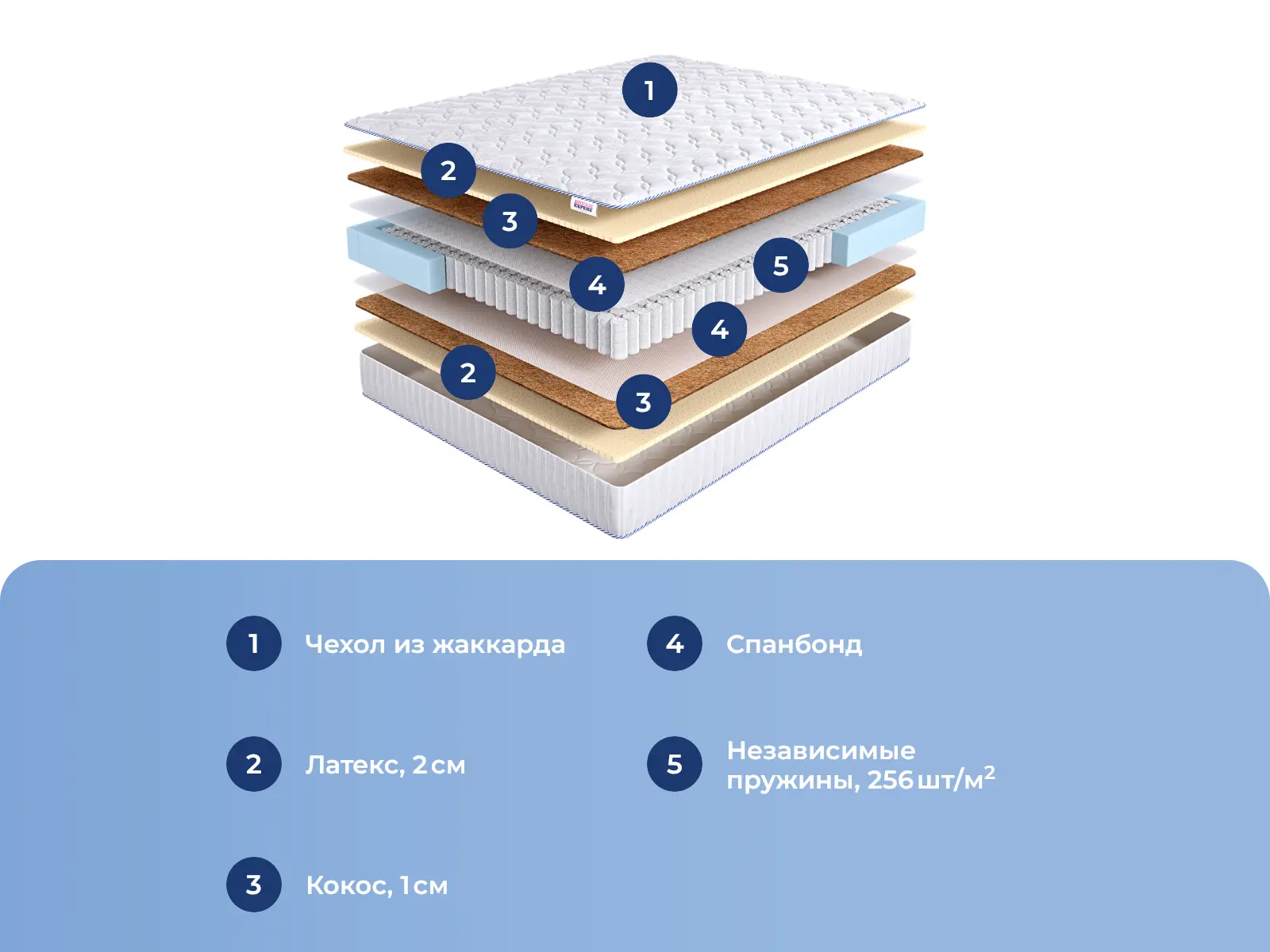 DreamExpert Base Medium 2 TFK � ���������