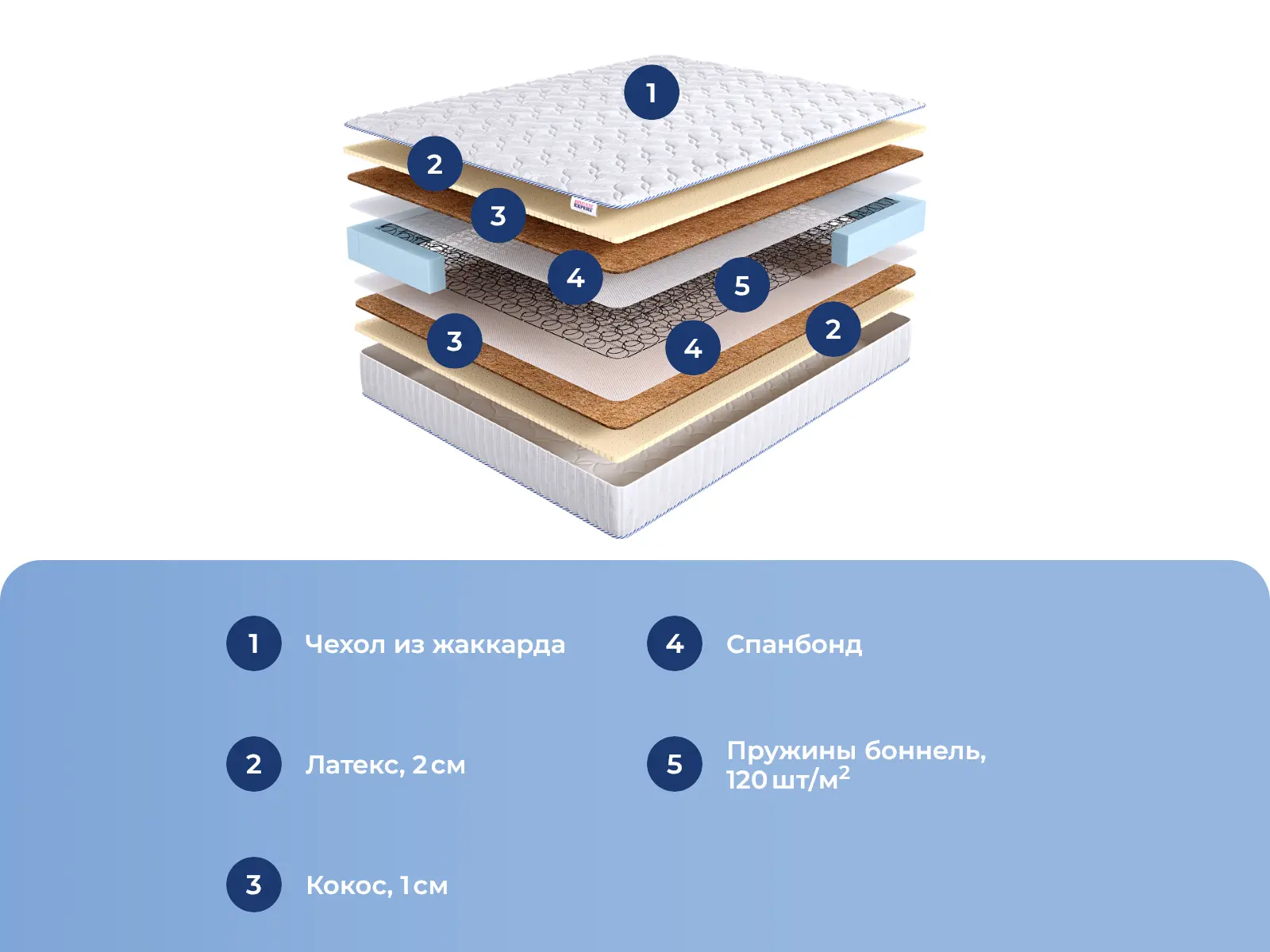 DreamExpert Base Medium 2 Bonnel � ������