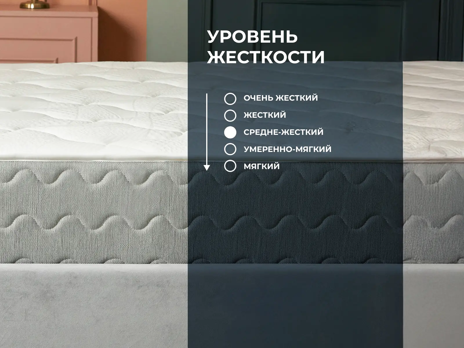 ������� Big Medium