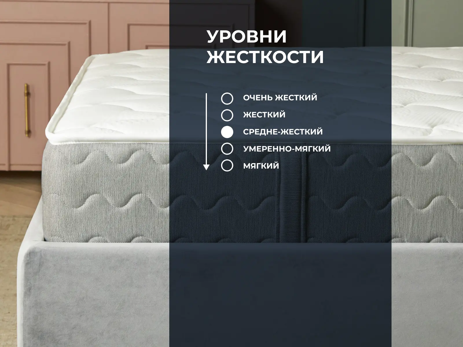 ������ Dimax �� ���� ��������