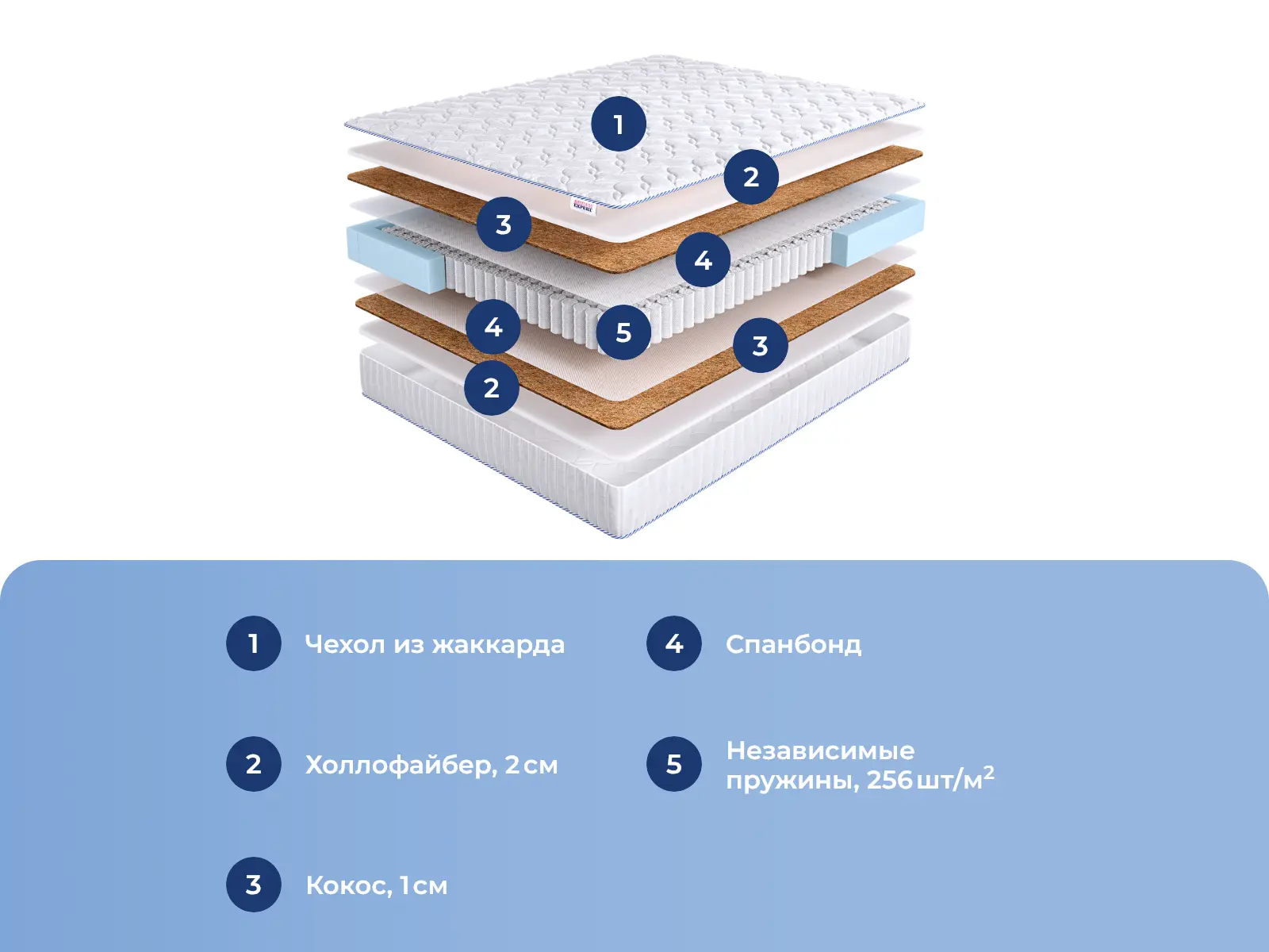 DreamExpert Base Holl Hard TFK � ������