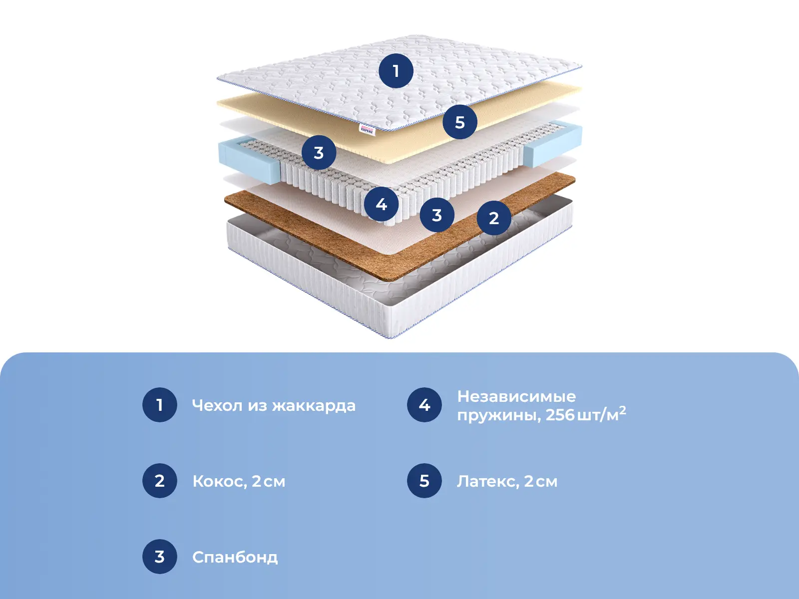 DreamExpert Base SleepDream TFK � ������