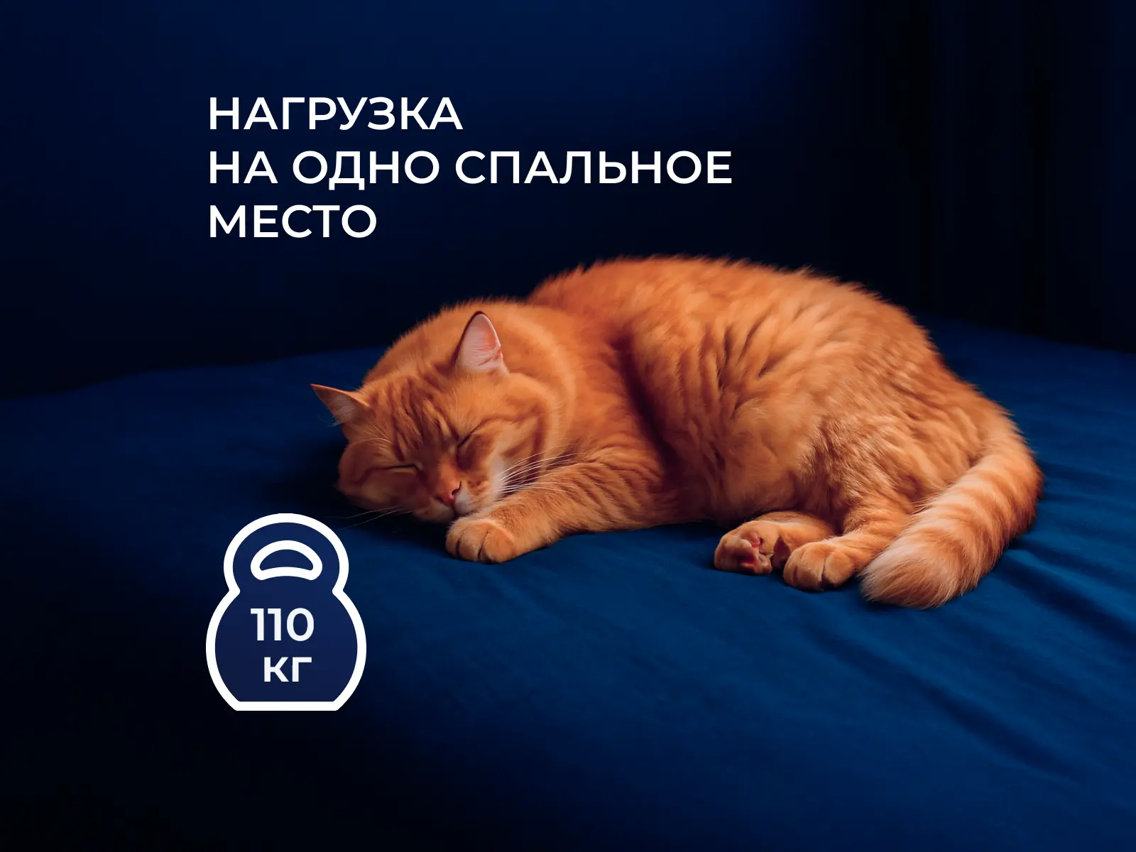 ������ Dreamline Classic + 10 TFK � ����������� ��������� ����, 256 ������/�&sup2;