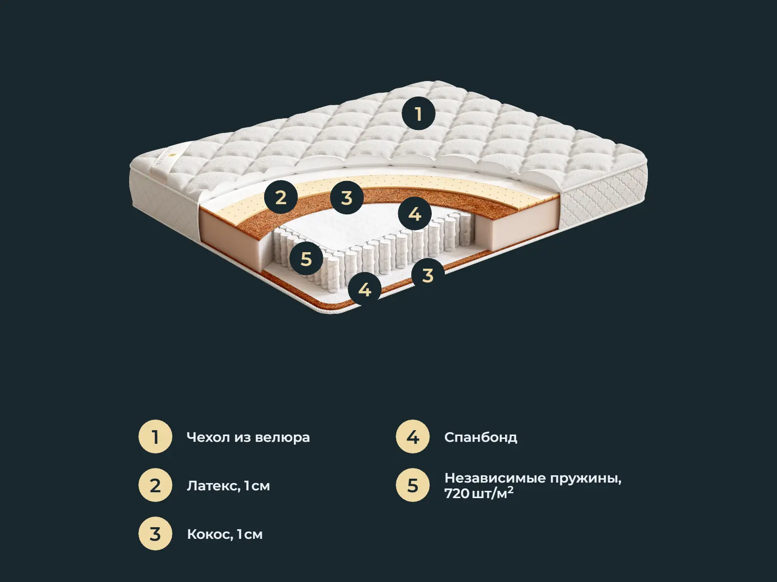 ������� Hoffman K2L1