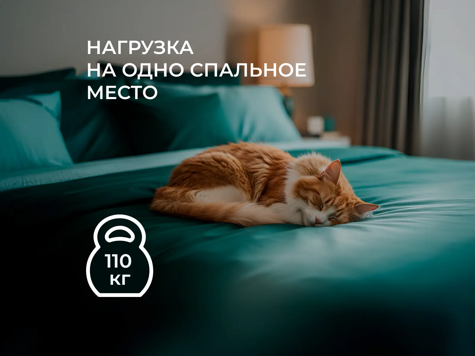 ������ EveRest ������� 15 TFK � ��������-������ ������ � ������������ ��� ������ ������������: 110 ��.