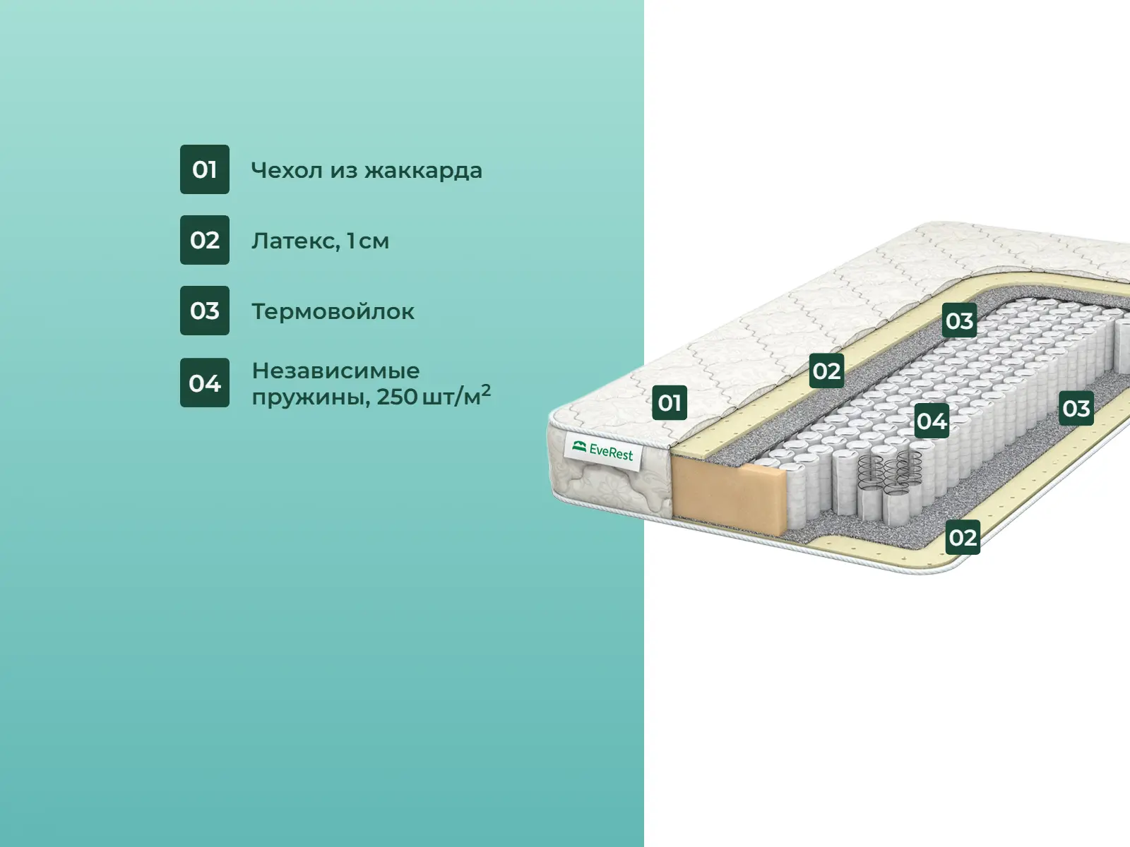 ������� Soft Latex ���