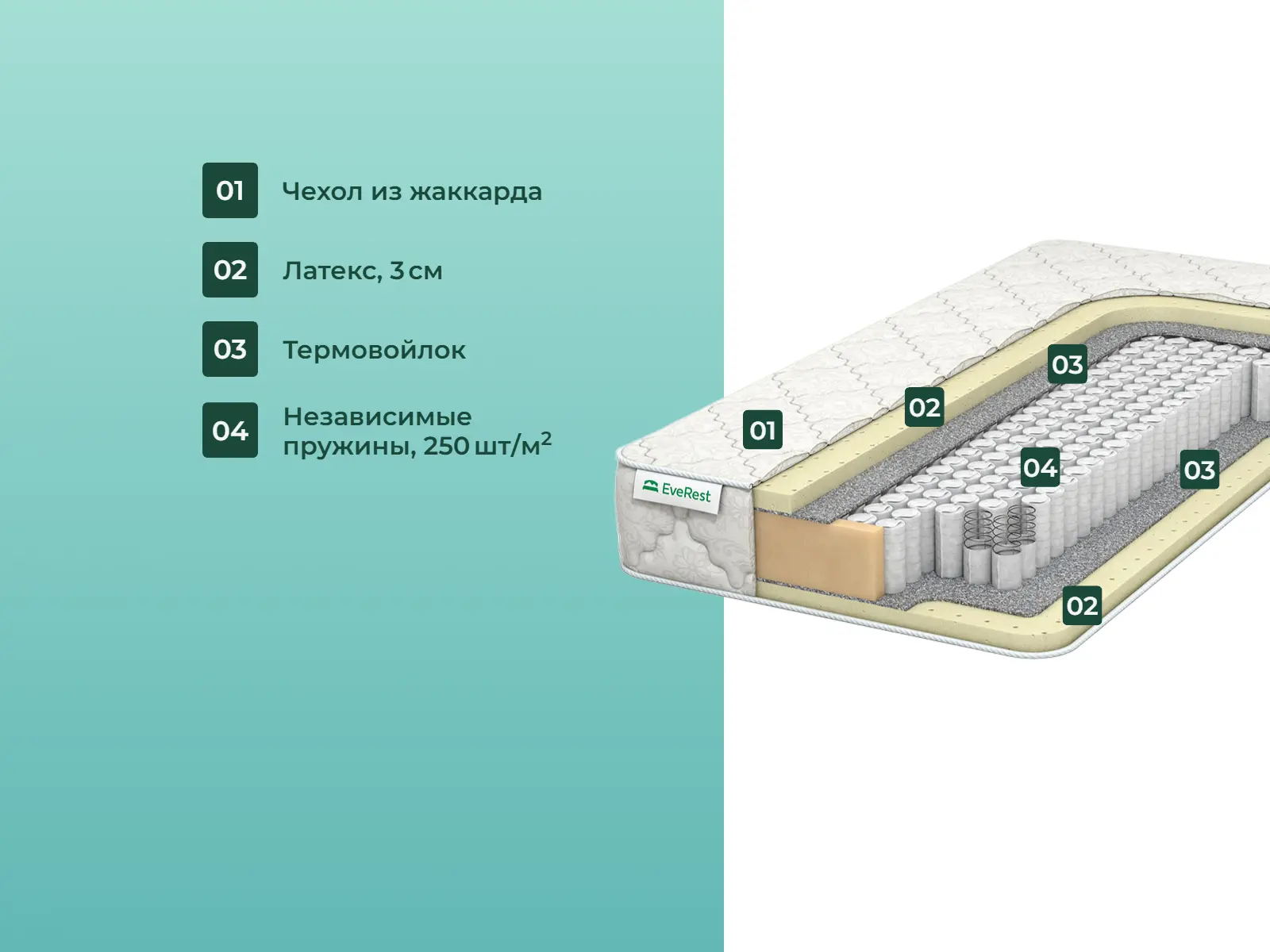 ������� Soft Latex ���