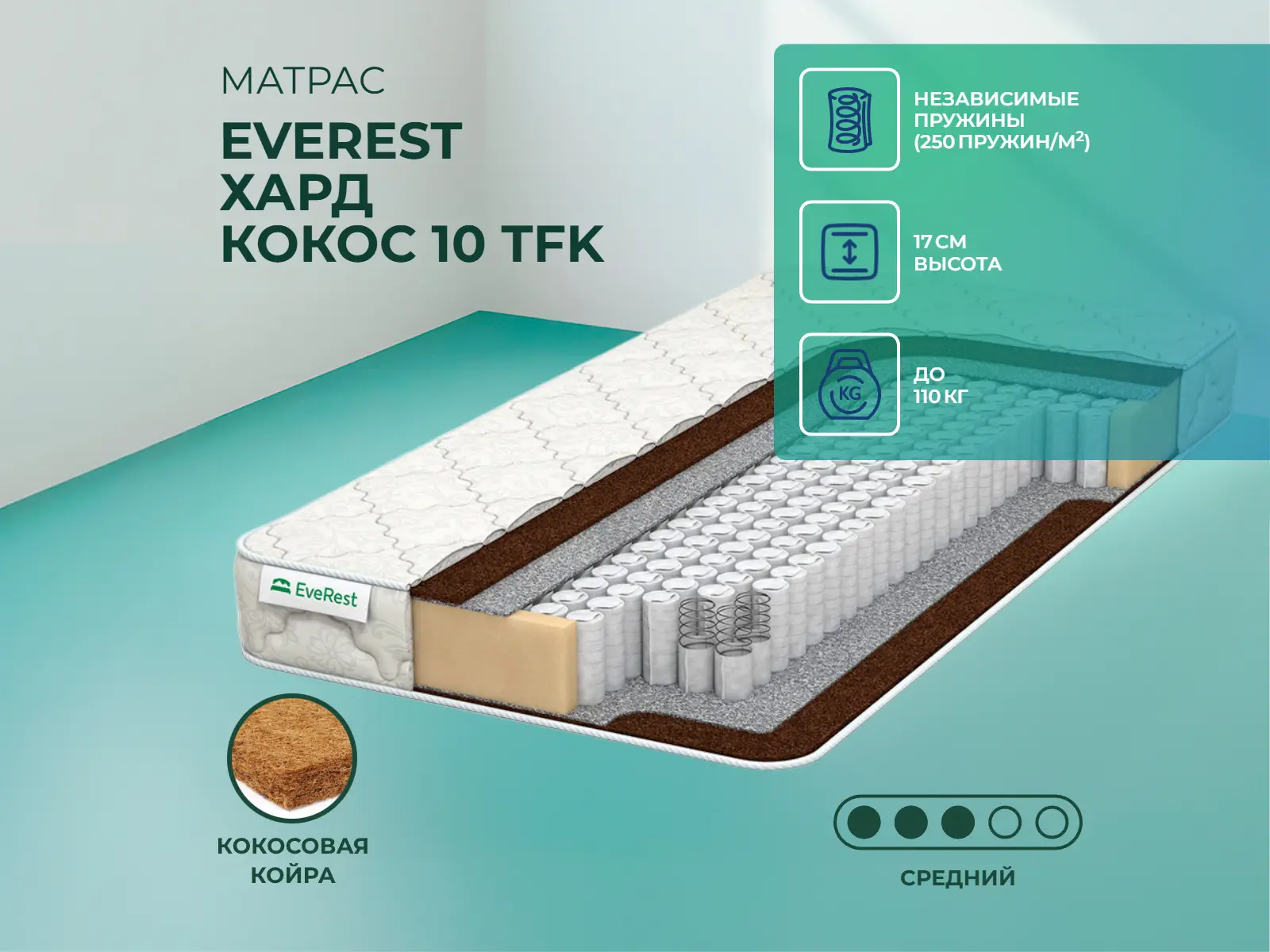 ������ ������ EveRest ���� ����� 10 TFK