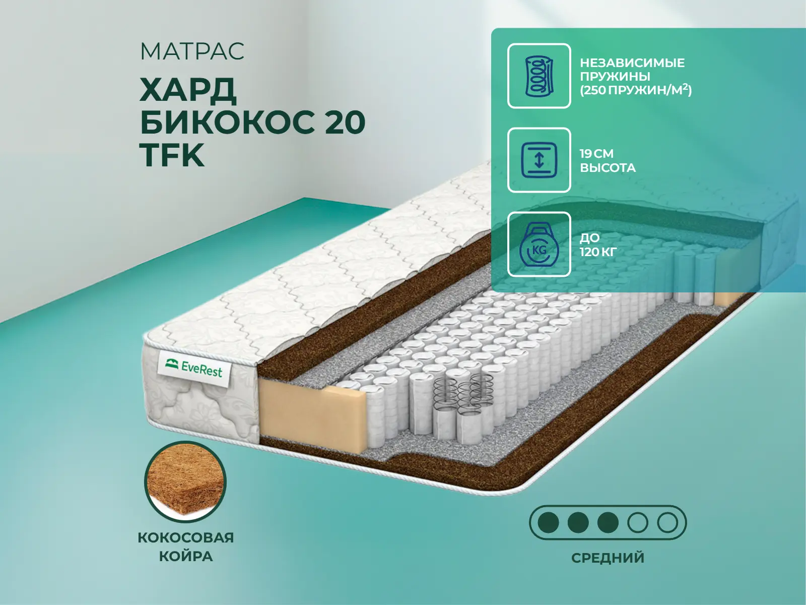 ������ ������ EveRest ���� ������� 20 TFK