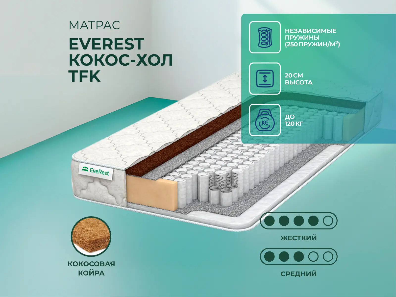 ������ ������ EveRest �����-��� TFK