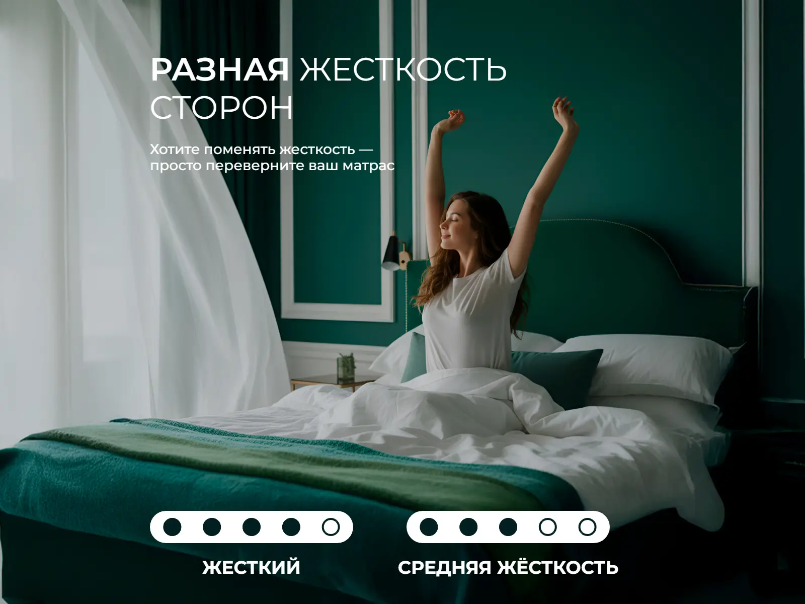 ������ EveRest �����-��� TFK ��������