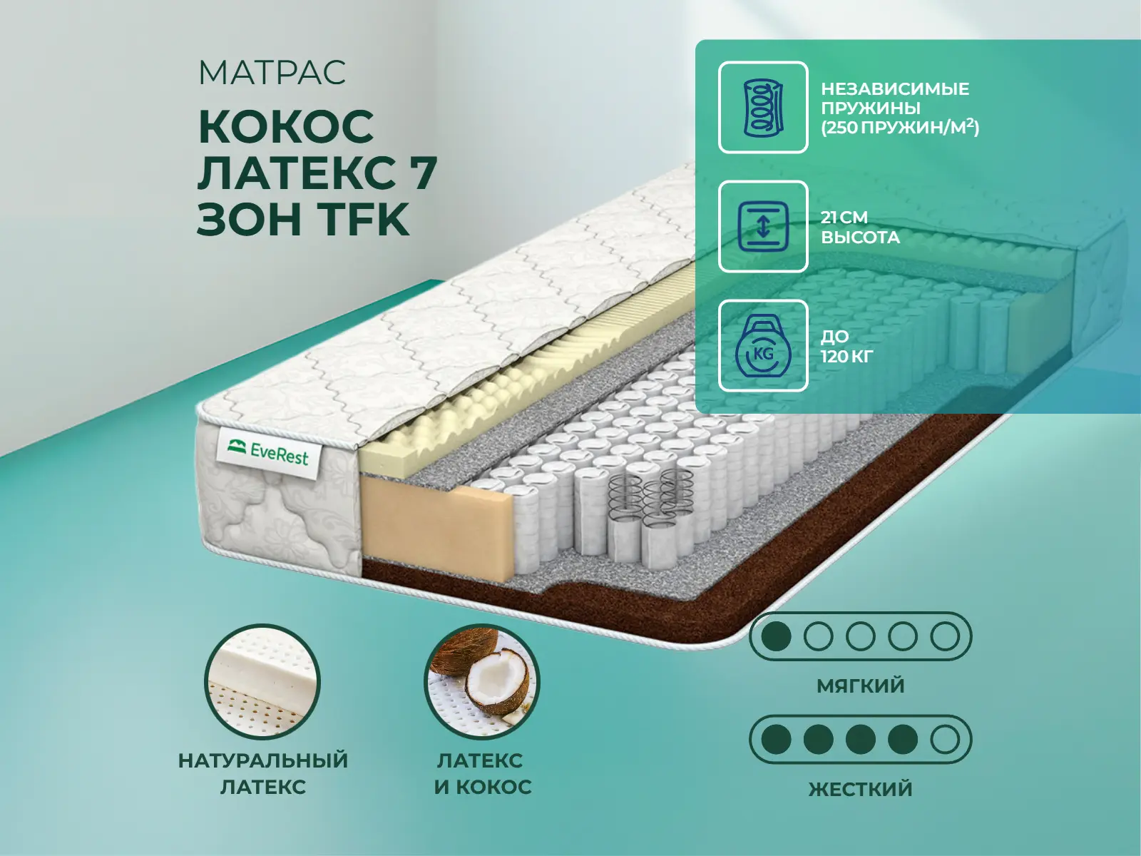 EveRest ����� ������ 7 ��� TFK