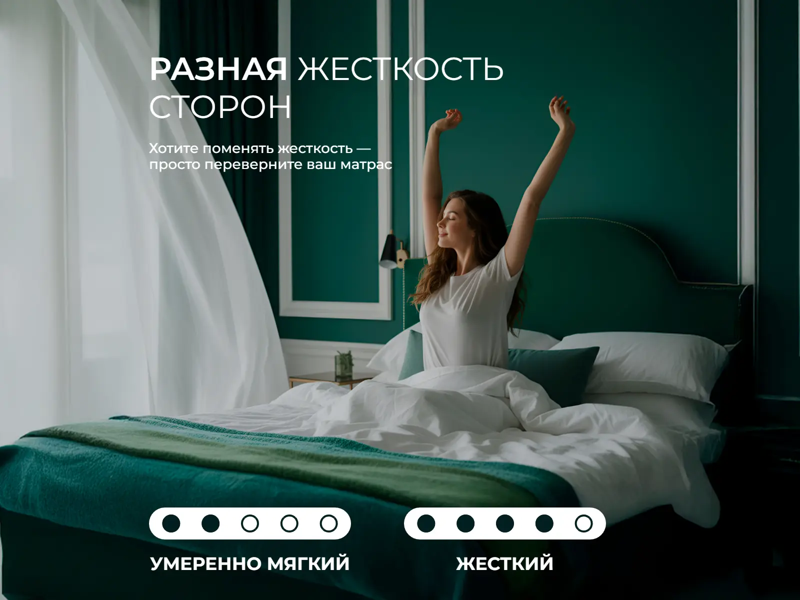 ������ EveRest ����� ������ TFK ��������