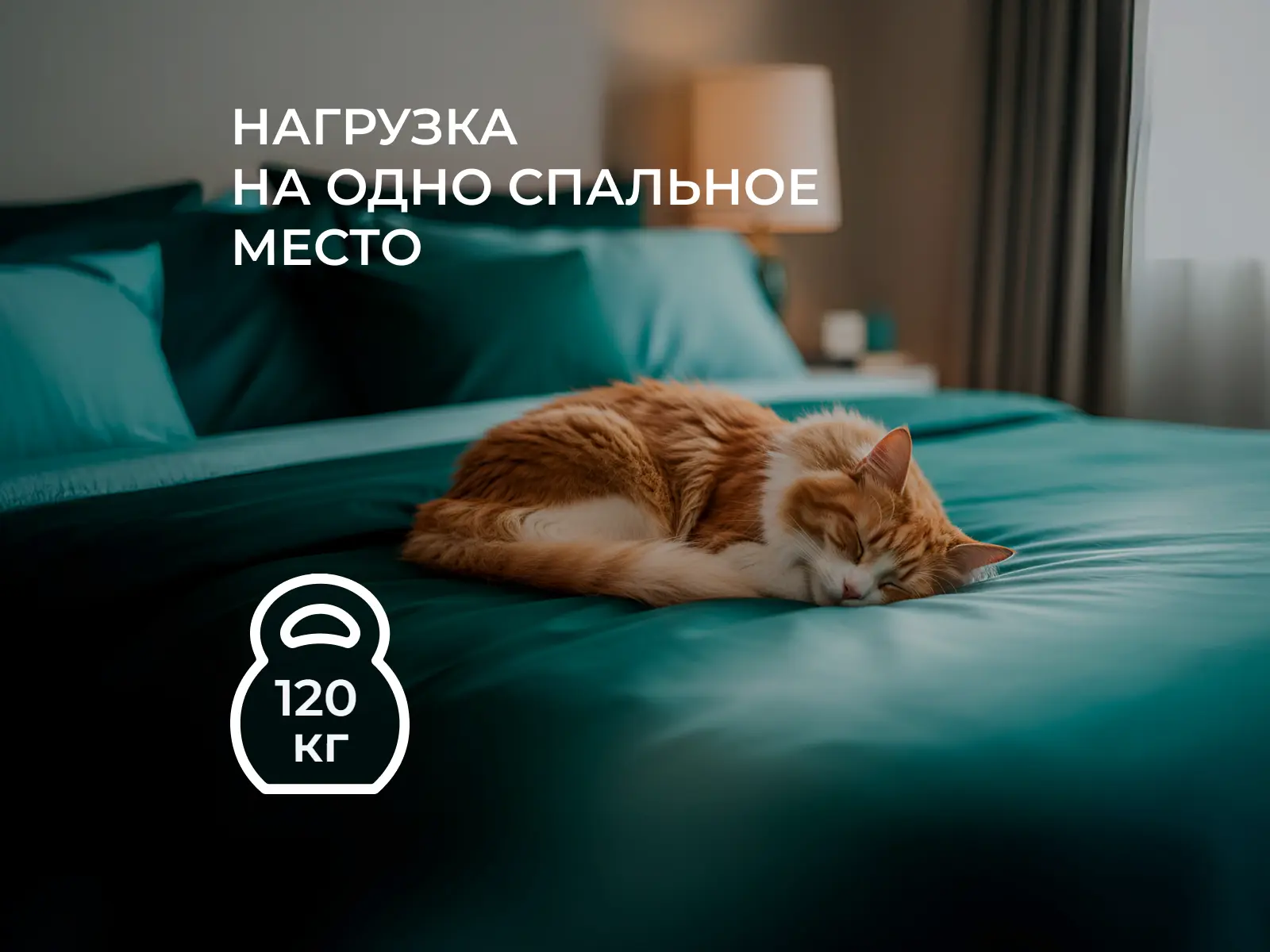 ������ EveRest ����� ������ TFK � ���� 17149 �. � ������ �������: ������-������ � �������