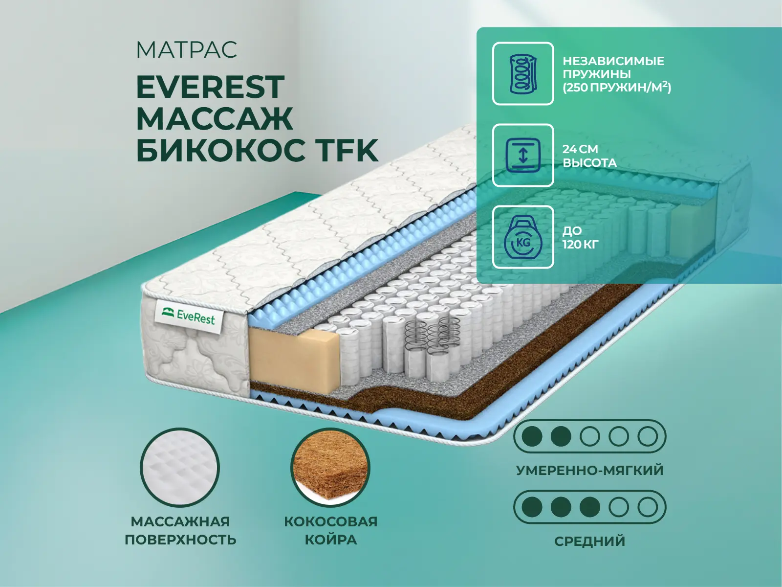 ������ ������ EveRest ������ ������� TFK