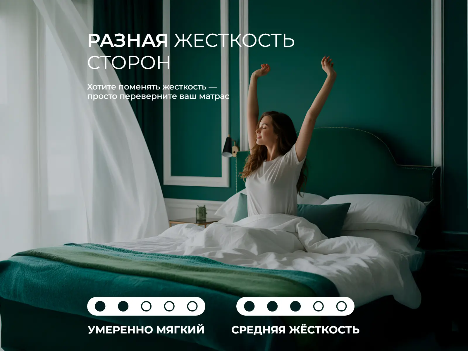 ������ EveRest ������ ������� S1000 ��������